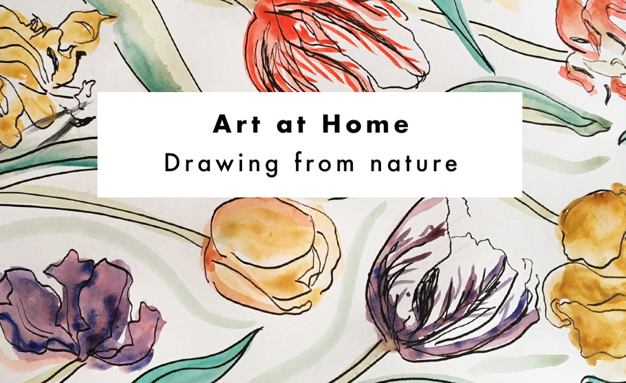 Art at Home: Drawing from Nature
