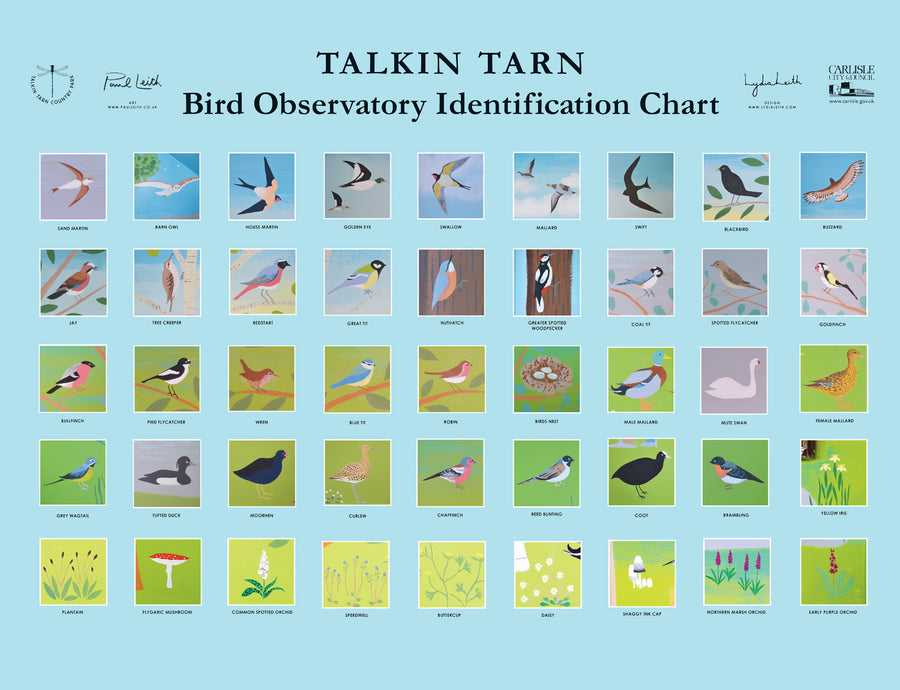 Public Art Mural Council Artist Bird Hide Observatory Identification Chart 